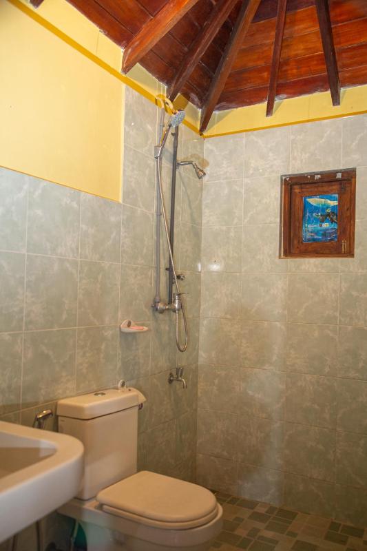 Crystal White Villa - image 48