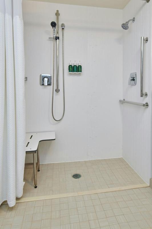 King Room with Sofa Bed and Roll-in Shower - Mobility and Hearing Accessible image 2