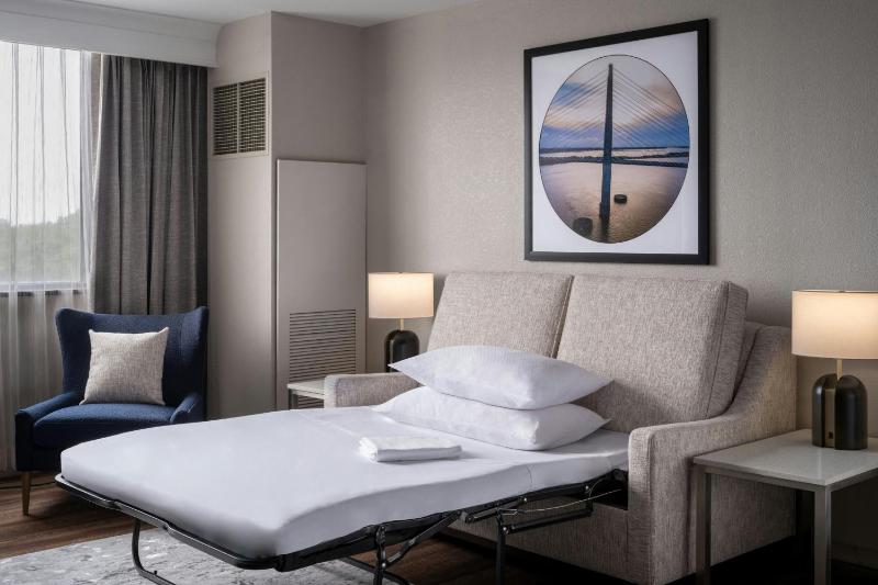One-Bedroom King Suite with Sofa Bed  image 2