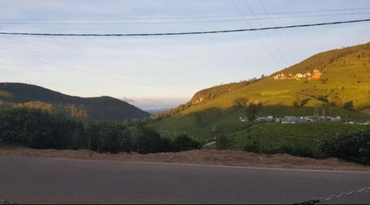 Methmi Rest - image 18