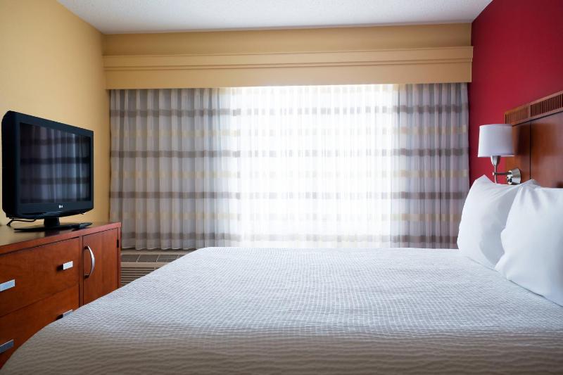 1 Bedroom Suite, 1 King, Sofa bed image 4