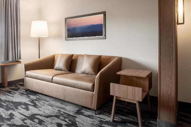 Suite, 1 King, Sofa bed, City view image 3