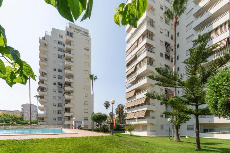 AG Olympia y Zeus - image 19