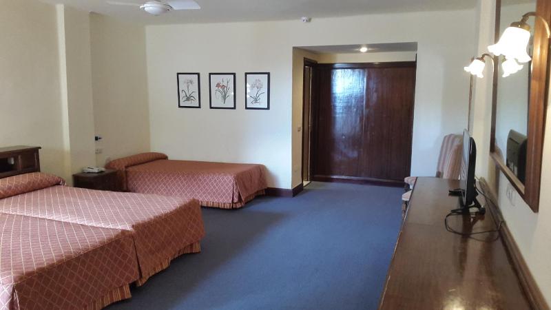 Twin Room with Extra Bed (3 Adults) image 4