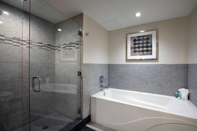 Ambassador Suite with City View image 4