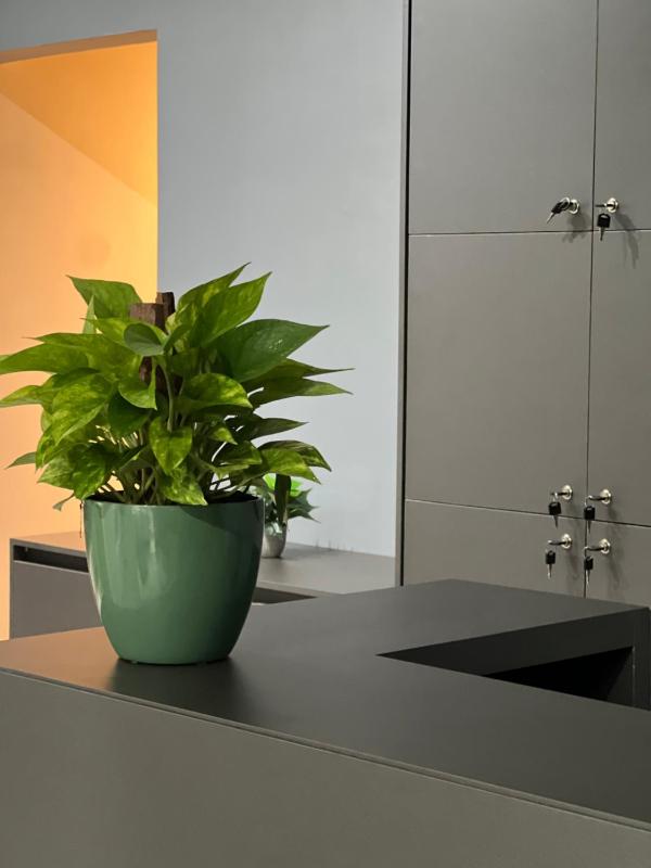 Belô Home & Office - image 19