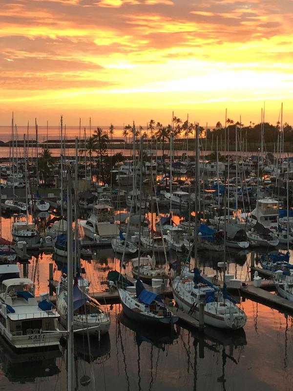 One-Bedroom Apartment image 1