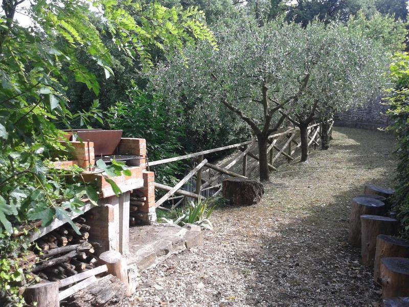 Il Querceto - image 8
