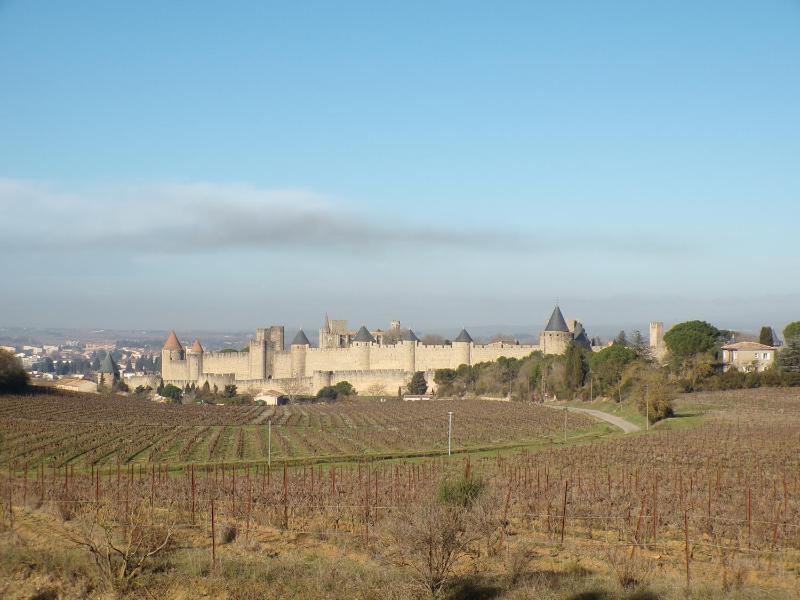 Gîte Carcassonne le Relais de la Cavayere - image 13