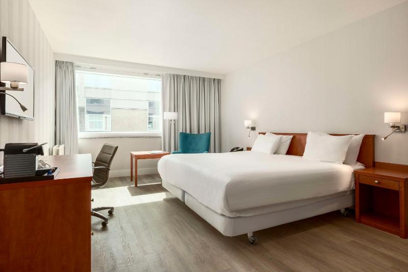 Superior Double or Twin Room XL image 1