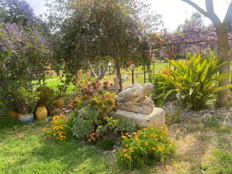 Agrib&B Lemontree Garde'N - image 5