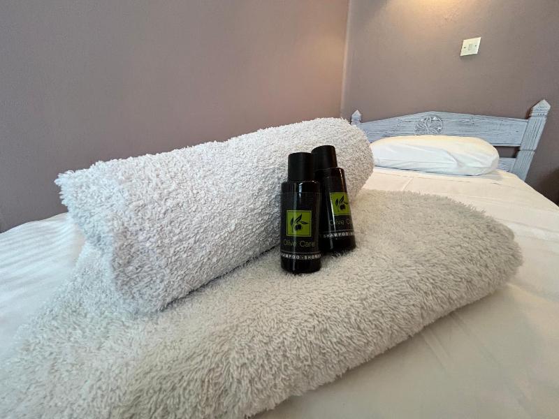 Double or Twin Room image 4