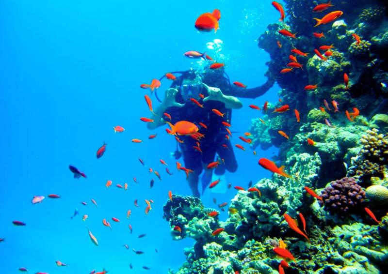Sharm Hills Resort - image 50