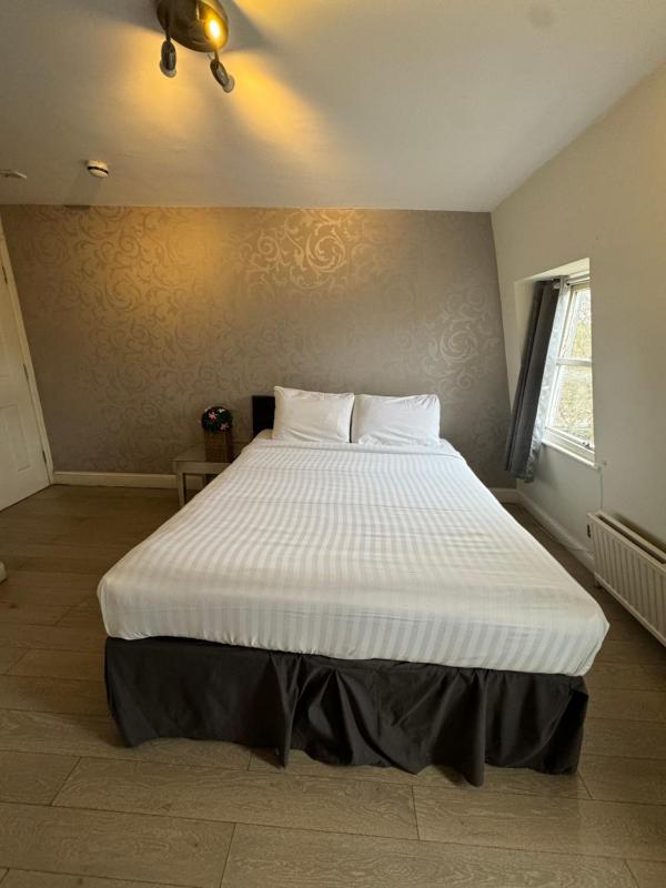 Deluxe Double Room image 3