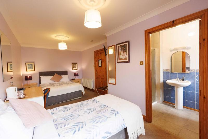 Double or Twin Room image 4