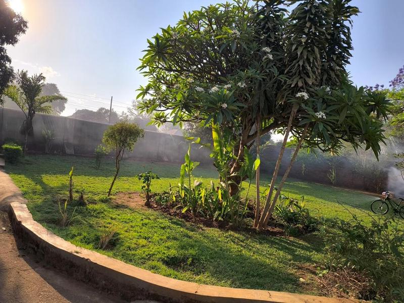 Serene Home - image 11