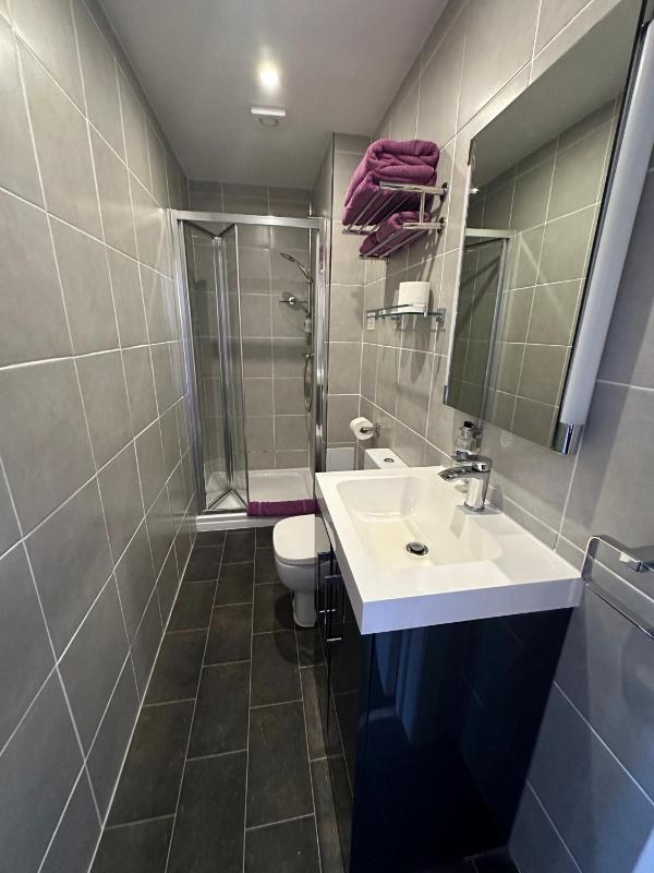 Deluxe Triple Room image 4
