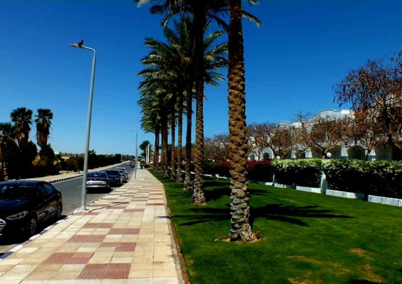 Sharm Hills Resort - image 15