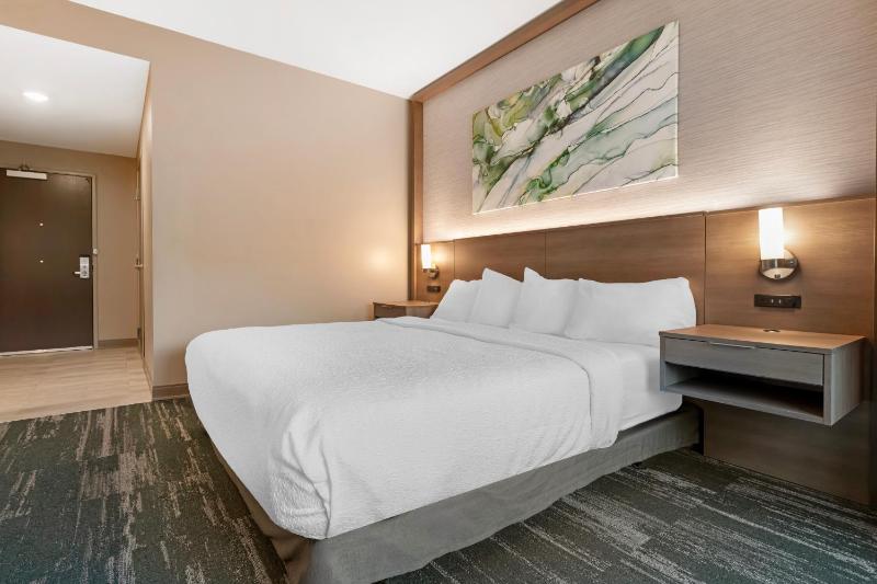 King Room with Roll-In Shower - Disability Access image 1