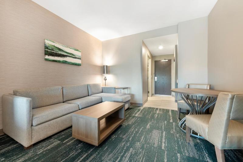 King Suite with Sofa Bed and Communication Assistance image 3