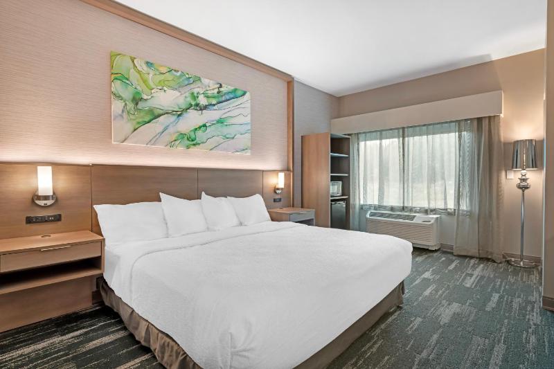 King Room with Roll-In Shower - Disability Access image 3