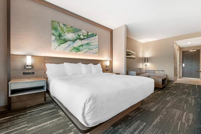 King Suite with Sofa Bed and Communication Assistance image 4