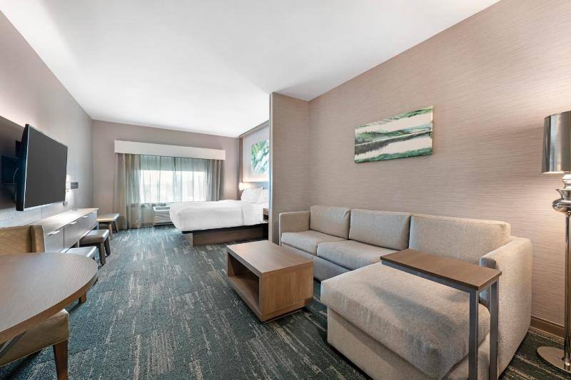 King Suite with Sofa Bed and Communication Assistance image 2