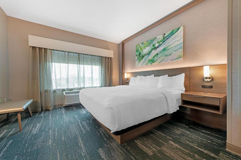 King Suite with Bath Tub - Disability Access image 2