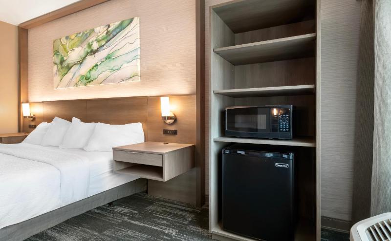 King Room with Roll-In Shower - Disability Access image 2