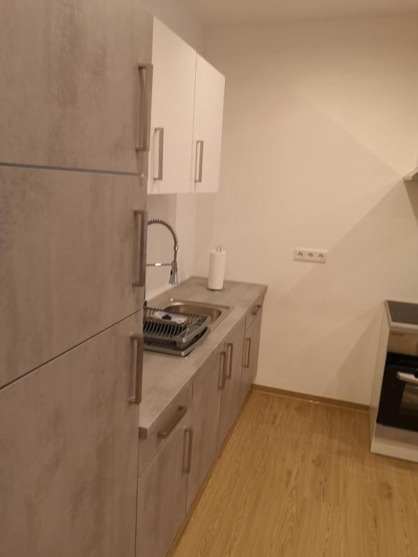Two-Bedroom Apartment image 4