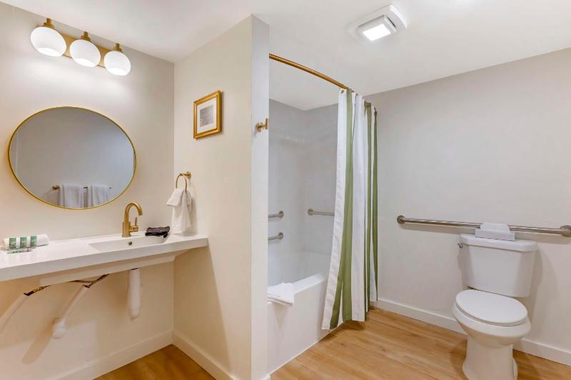 King Room with Bath Tub - Pet Friendly/Disability Access image 3