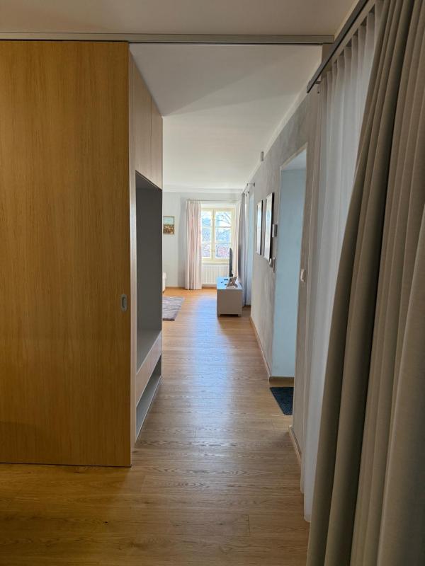 One-Bedroom Apartment with Terrace image 2