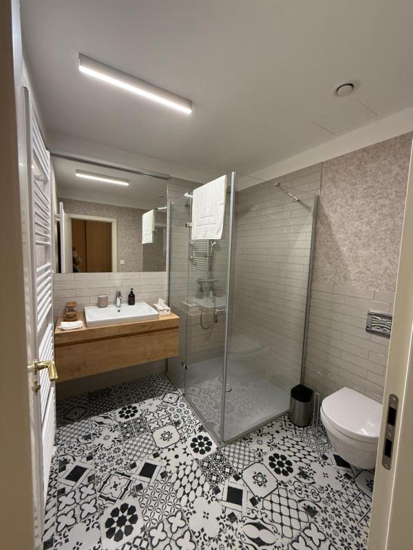 One-Bedroom Apartment with Terrace image 4