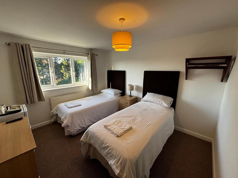 Twin Room image 1