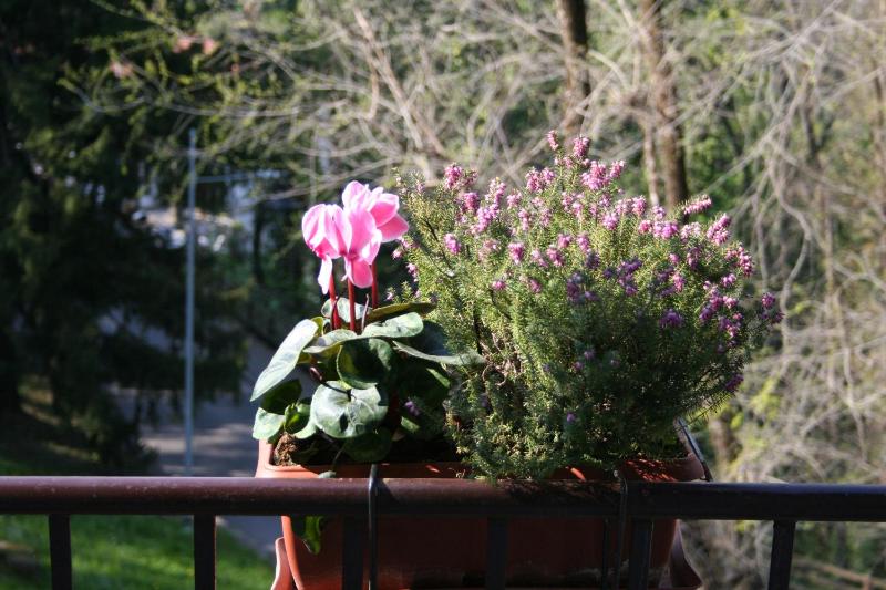 B&B I Ghiri - image 6
