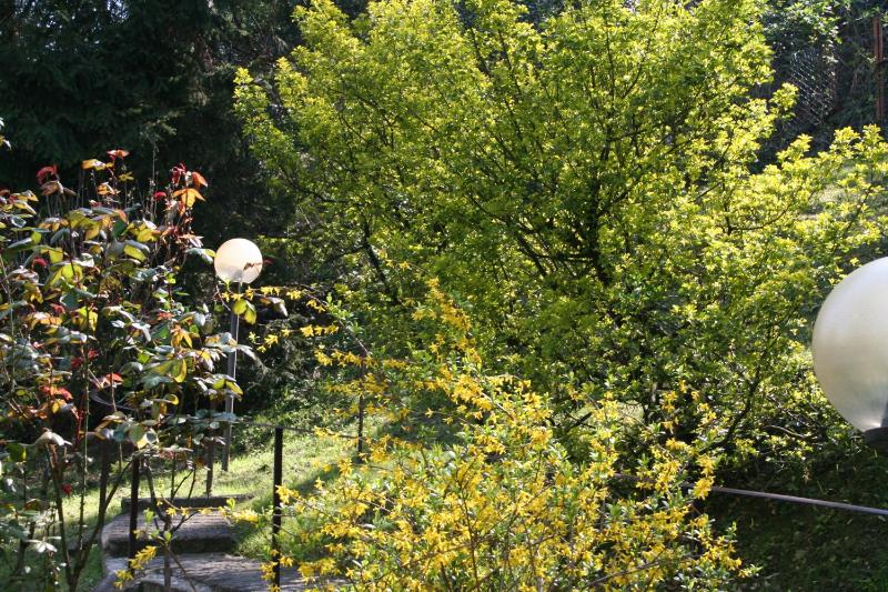 B&B I Ghiri - image 20