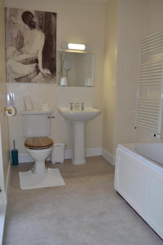 Deluxe Quadruple Room image 2