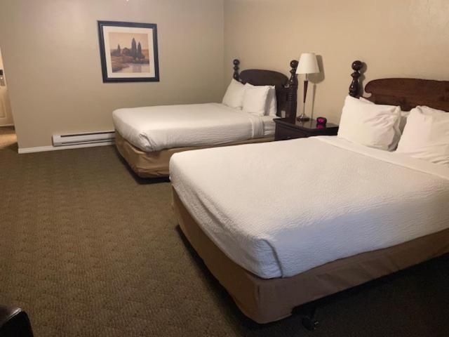 One-Bedroom Suite image 2