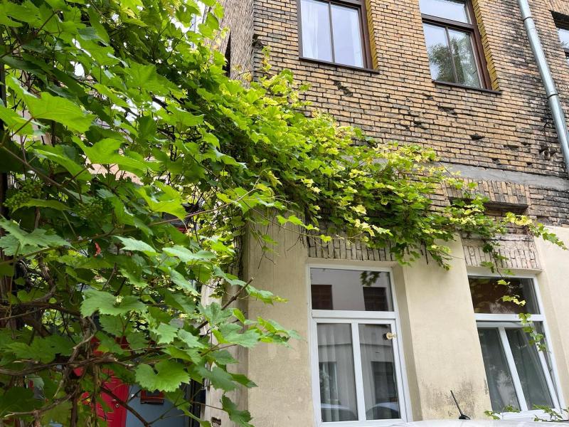 Old Town Loft - image 12