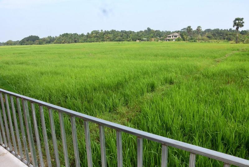 Meegahapokuna Resort - image 9