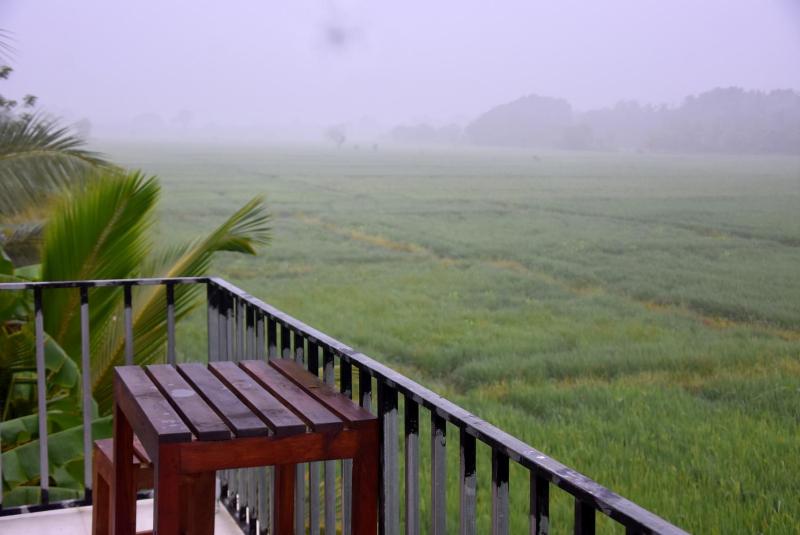 Meegahapokuna Resort - image 23