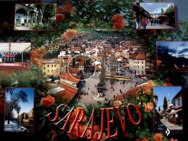 Ljubicica Hostel - image 10
