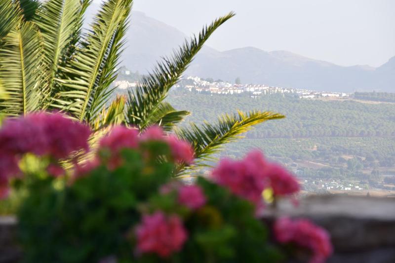 Casa Alta - image 41