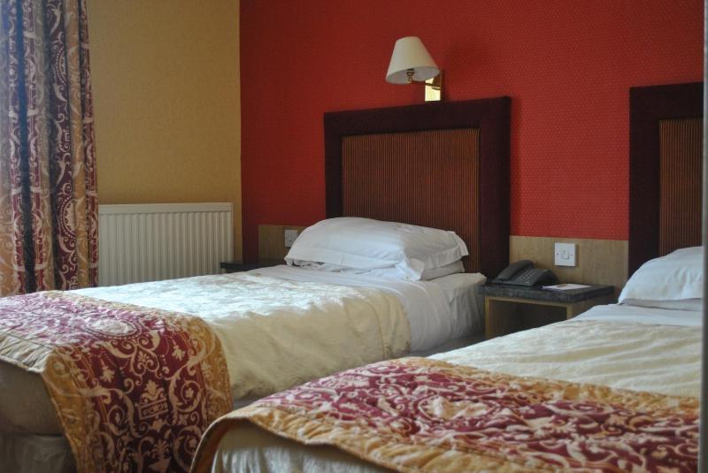 Twin Room image 2