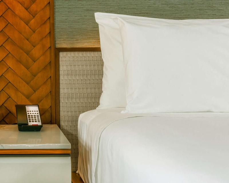 King Room with Mountain View image 4