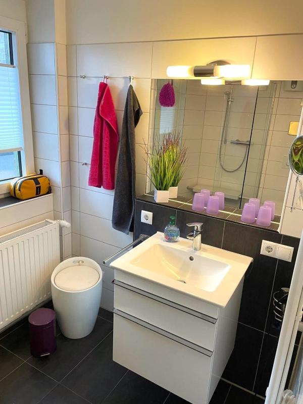 de Sülvermöw - image 12