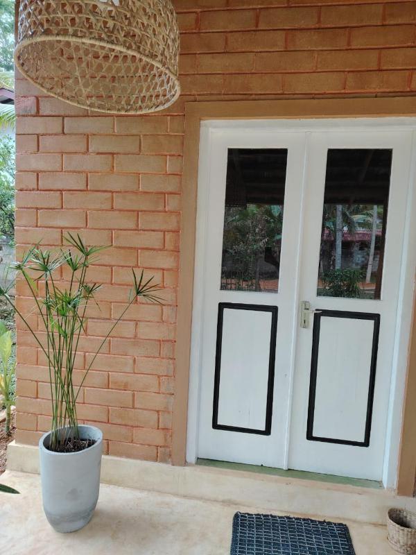 Eco Bricks - image 16