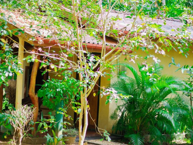 Sigiri Serenity Homestay - image 12
