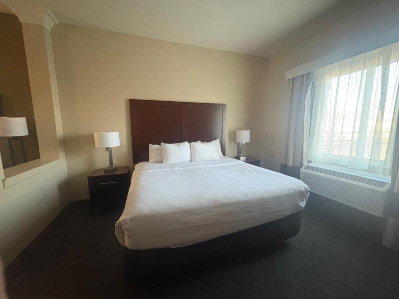 Comfort Suites Near Denver Downtown - image 12
