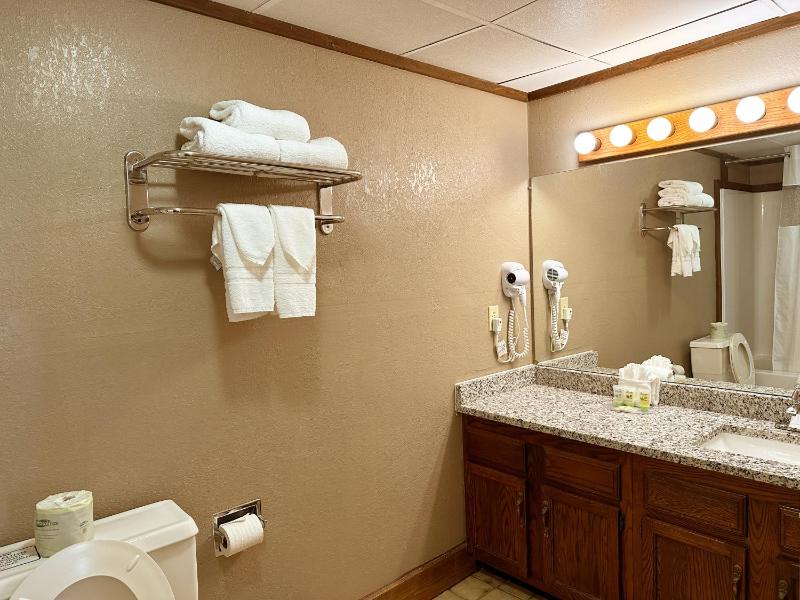 King Suite with Spa Bath - No Pets image 4